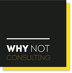 Why Not Consulting logo
