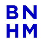 Blenheim logo
