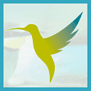 Colibri Creation