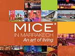 Mice Morocco Dmc since 1978 logo