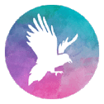 White Raven logo