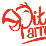 PitchParrot logo