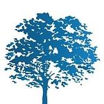 The Social Tree logo