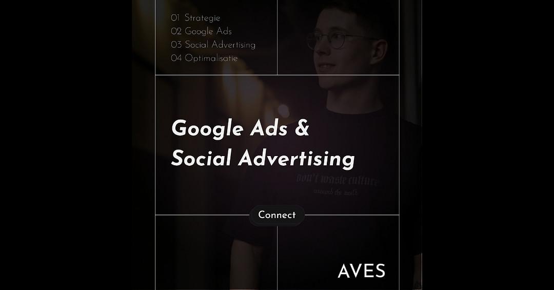 Aves Marketing cover