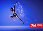 ZIGT Media & Performance logo