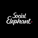 Social Elephant