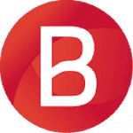 b-Analyzed logo